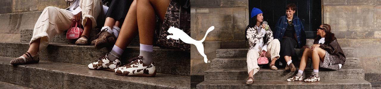 speed cat animal print campaign