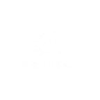 Brands_white_converse