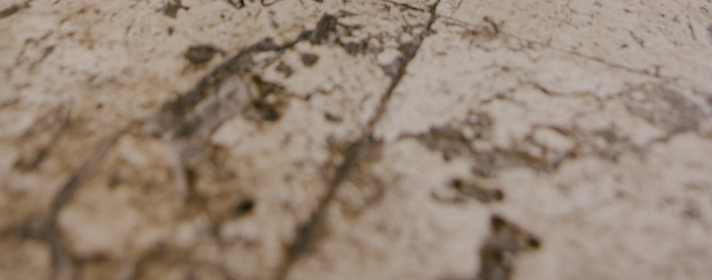01_Artist_Online-3_1920x800
