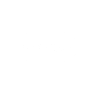 Brands_white-lg_s_havaianas
