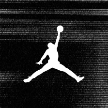 Air Jordan Brand Logo