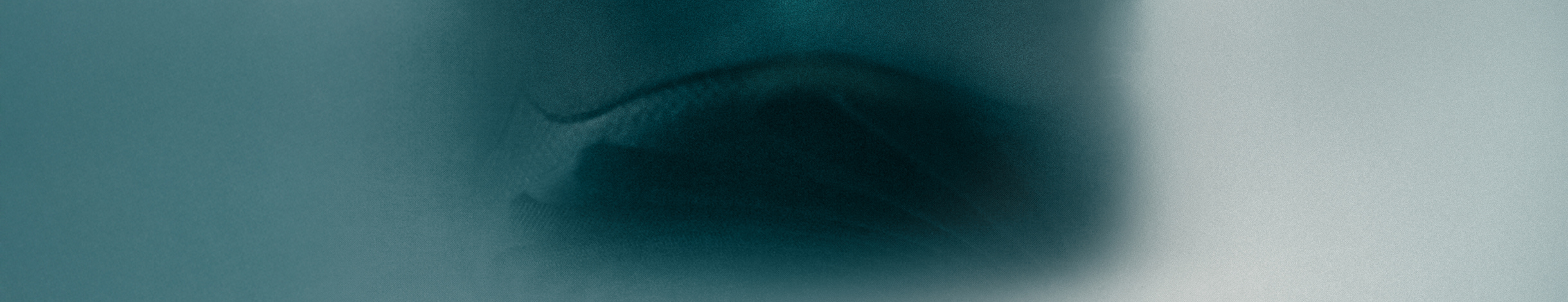 Light blue background