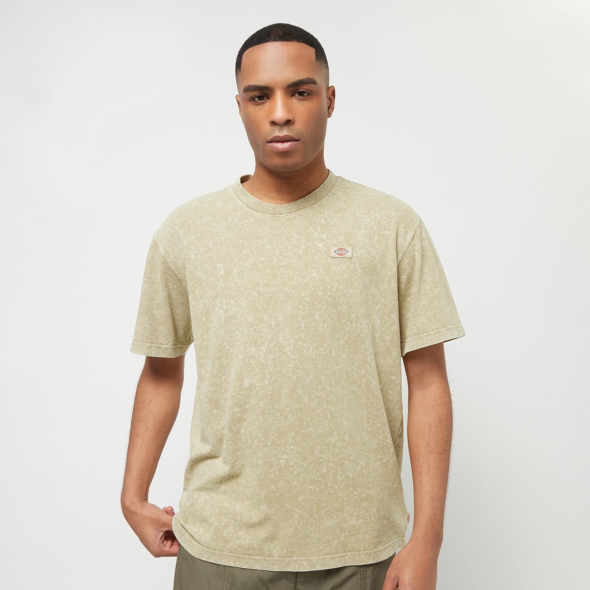 Dickies Newington Tee Shortsleeve Men T-Shirts & Polo's groen Maat S Kleding