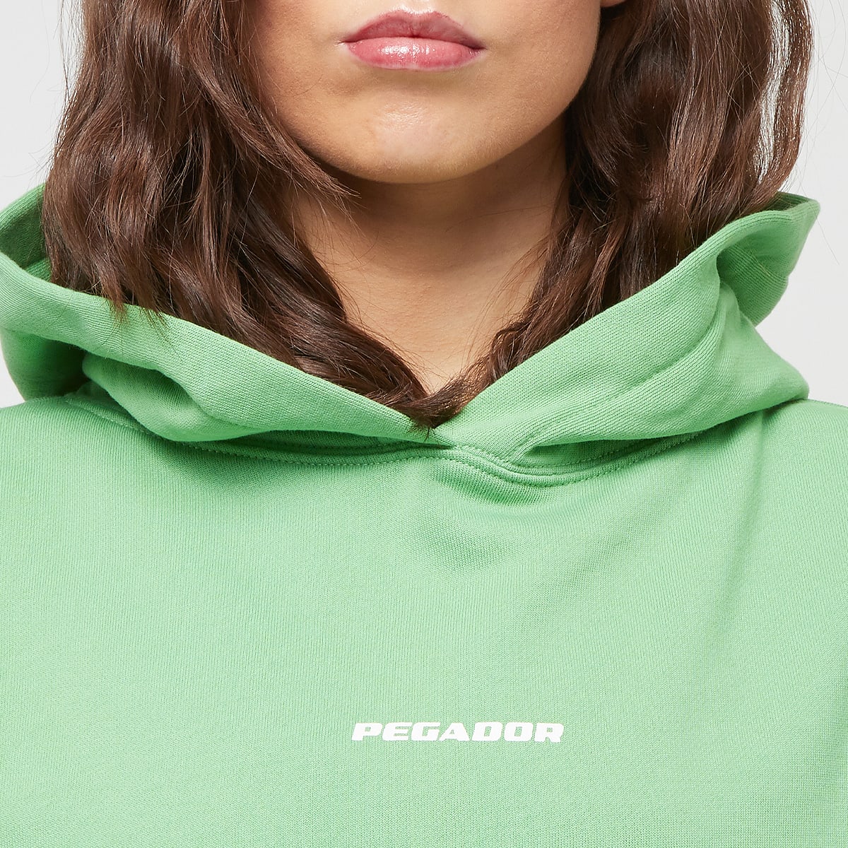 Pegador Atna Logo Oversized Hoodie women Hoodies & Sweaters groen Maat XS Kleding