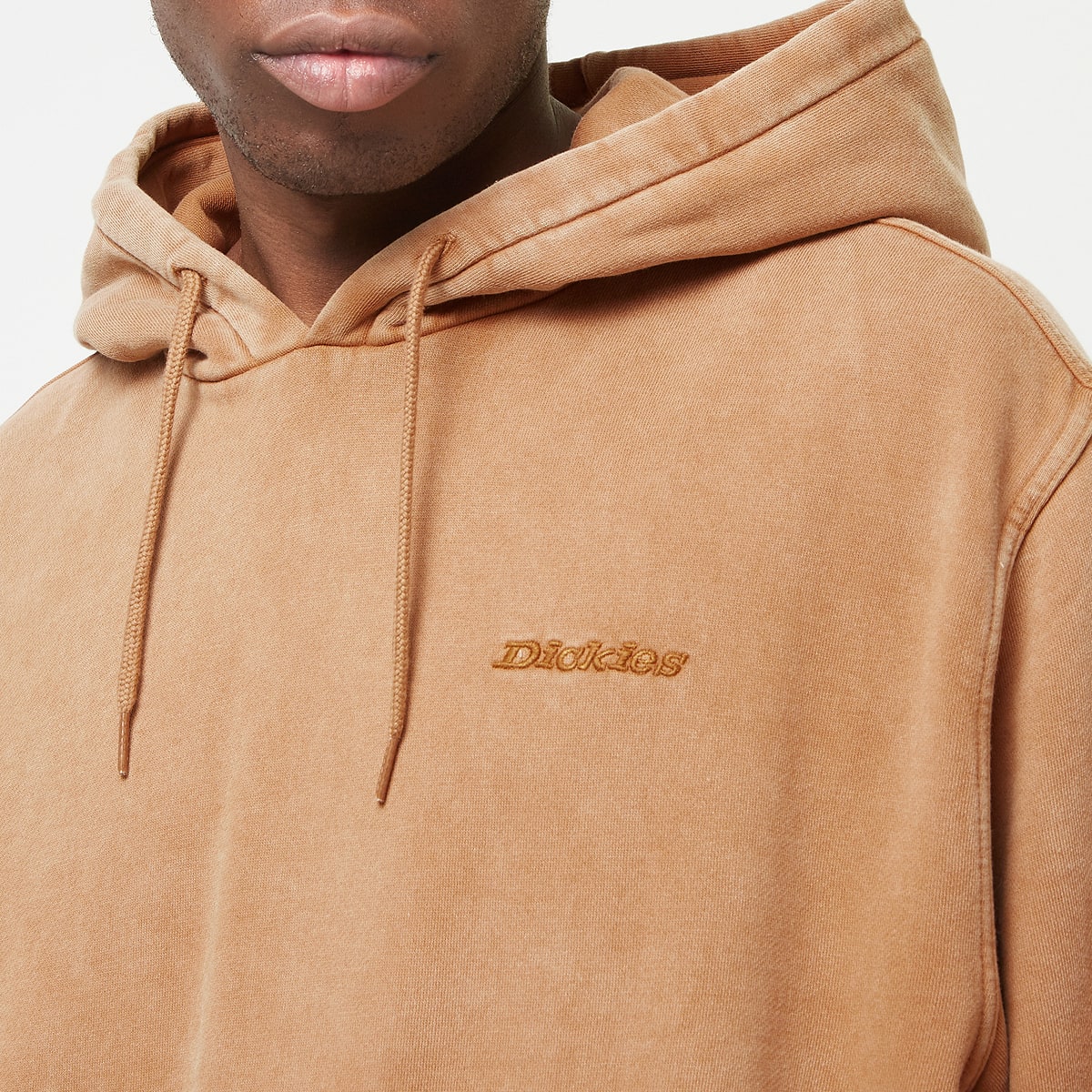 Dickies Plentywood Hoodie Hoodies & Sweaters in beige formaten: S