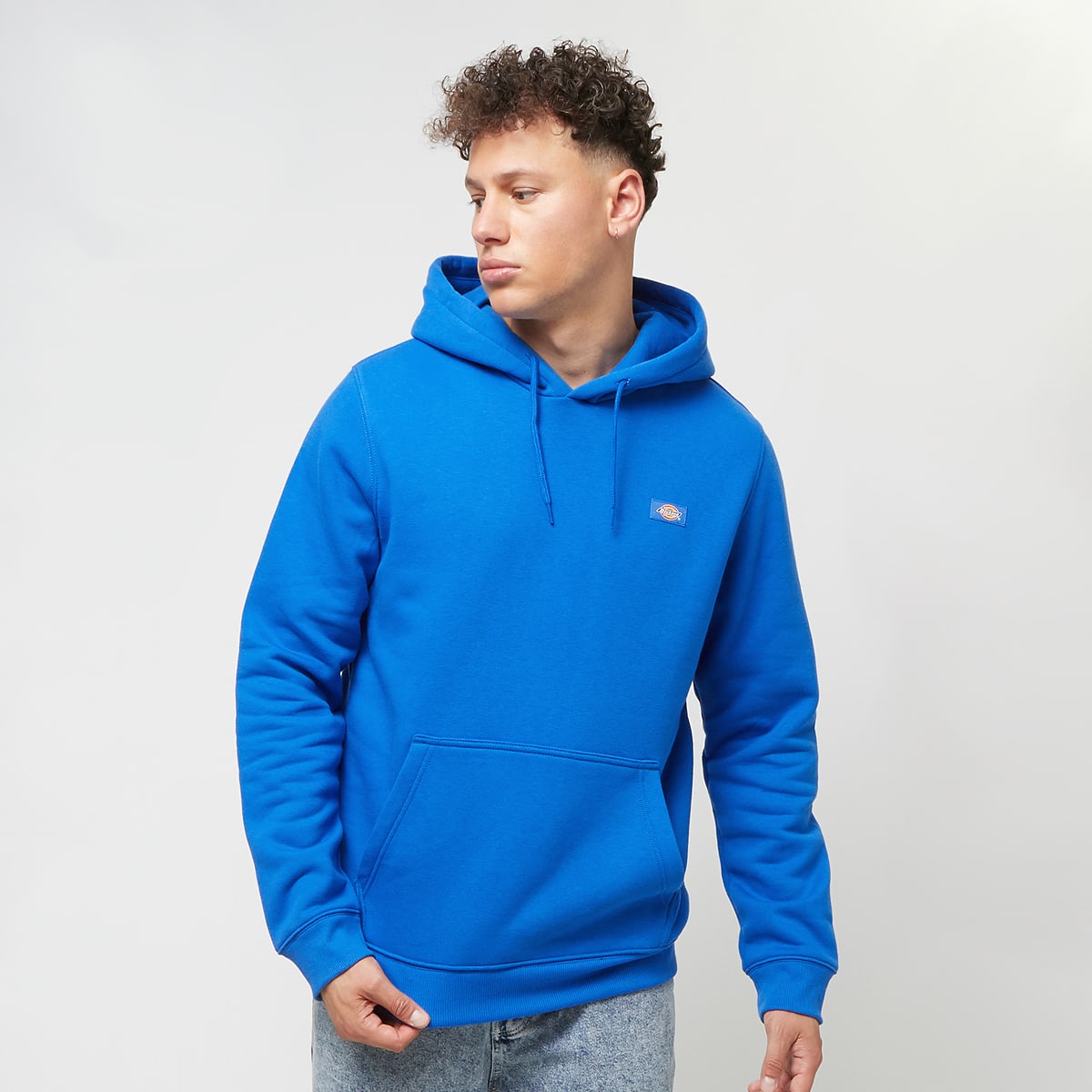 Dickies Oakport Hoodie Hoodies & Sweaters in blauw formaten: S