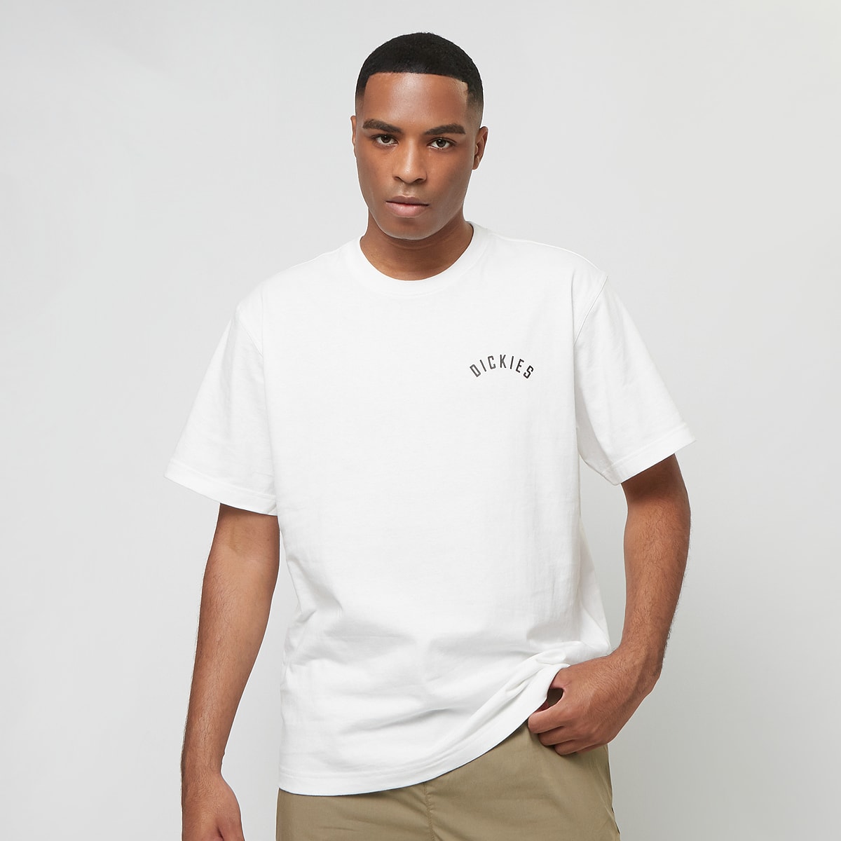 Dickies Panther Tee Short Sleeve men T-Shirts & Polo's wit Maat S Kleding