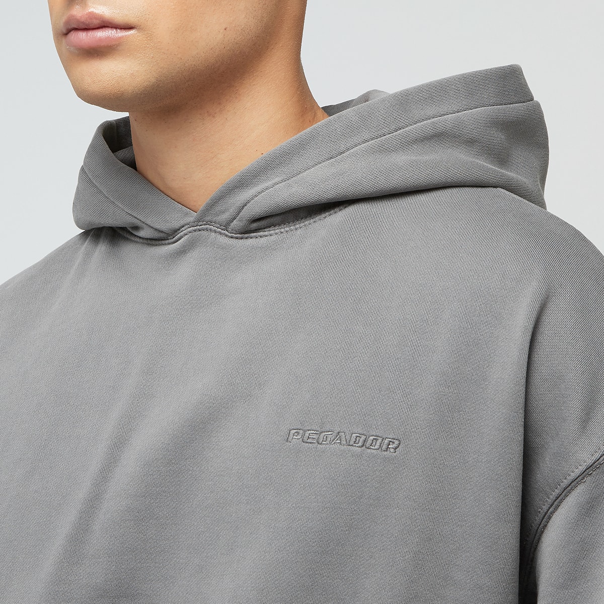 Pegador Logo Oversized Hoodie Men Hoodies & Sweaters grijs Maat S Kleding