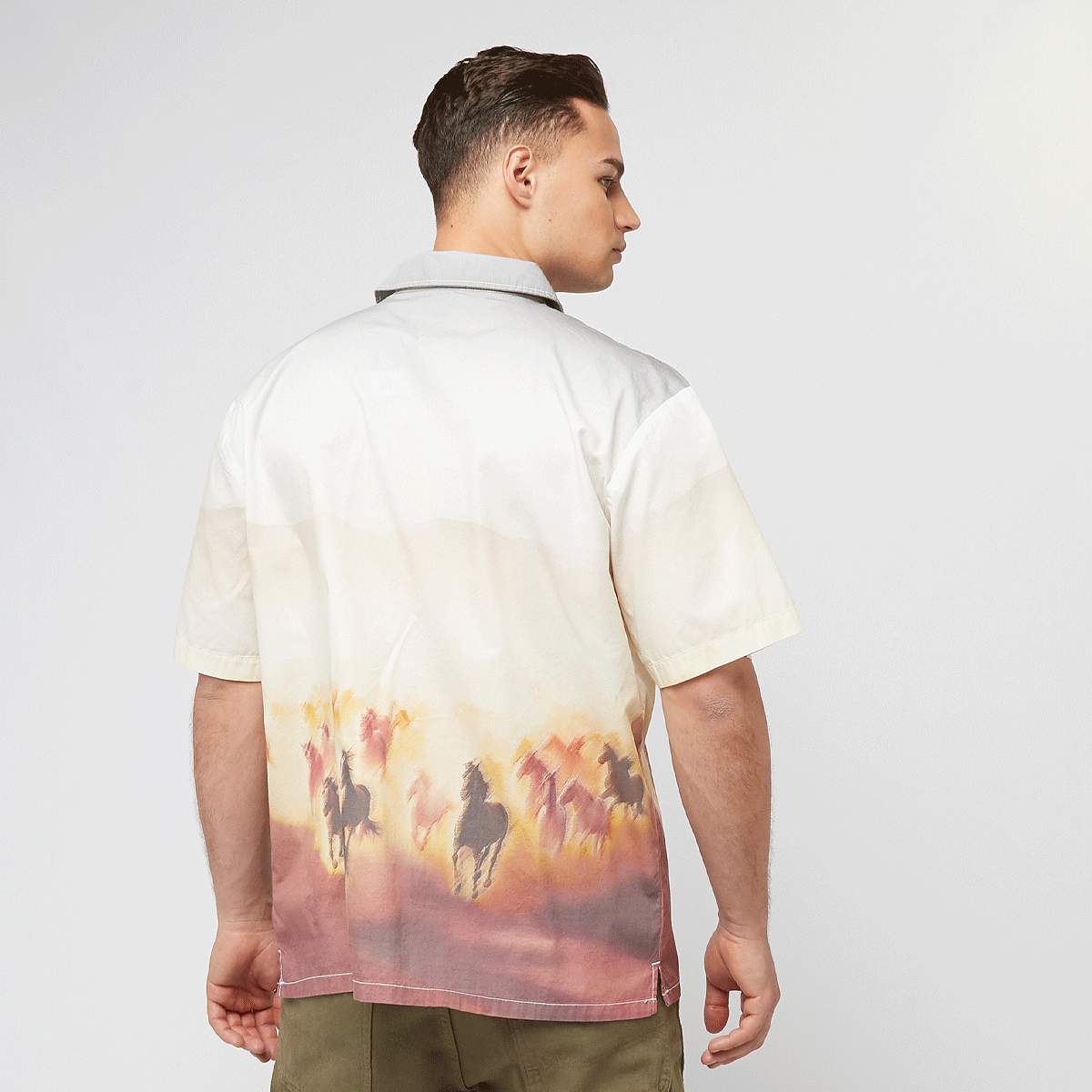 Dickies Running Wild Shortsleeve Shirt men Overhemden multicolor Maat S Kleding
