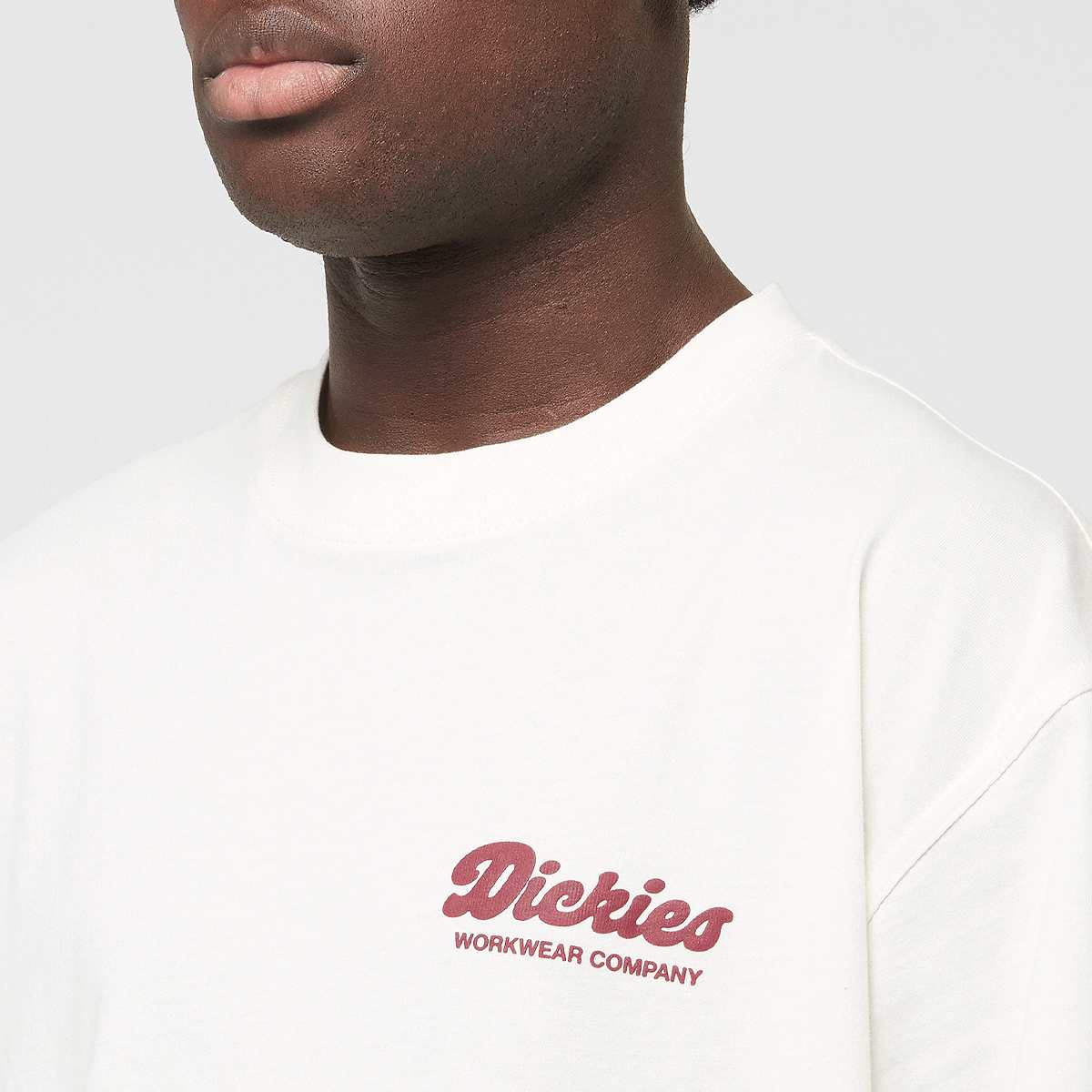 Dickies Lewistown Shortsleeve Tee men T-Shirts & Polo's wit Maat S Kleding
