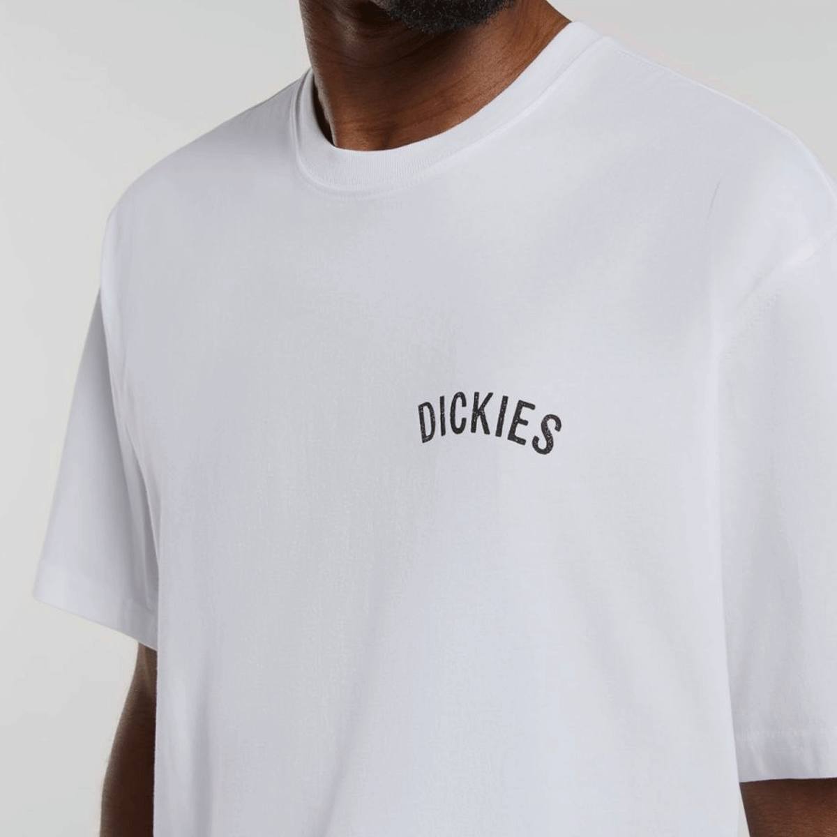 Dickies Snake Short Sleeve Tee men T-Shirts & Polo's wit Maat S Kleding