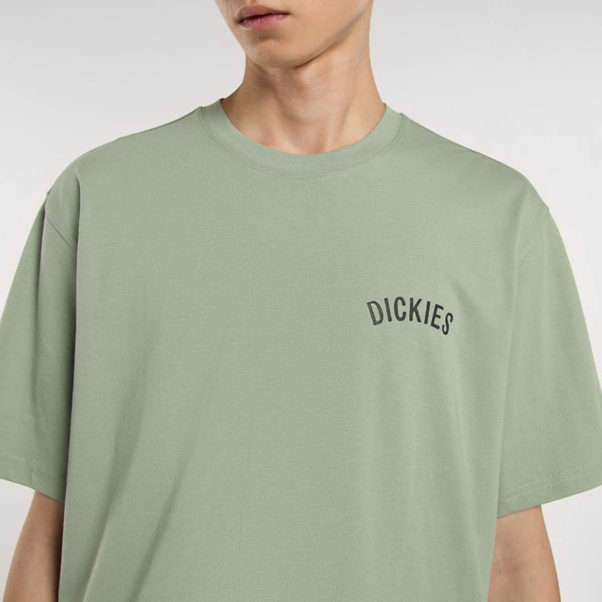 Dickies Snake Tee men T-Shirts & Polo's groen Maat S Kleding