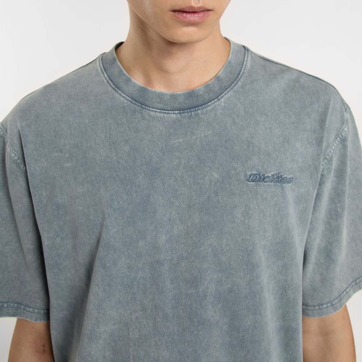 Dickies Plentywood Tee men T-Shirts & Polo's blauw Maat S Kleding