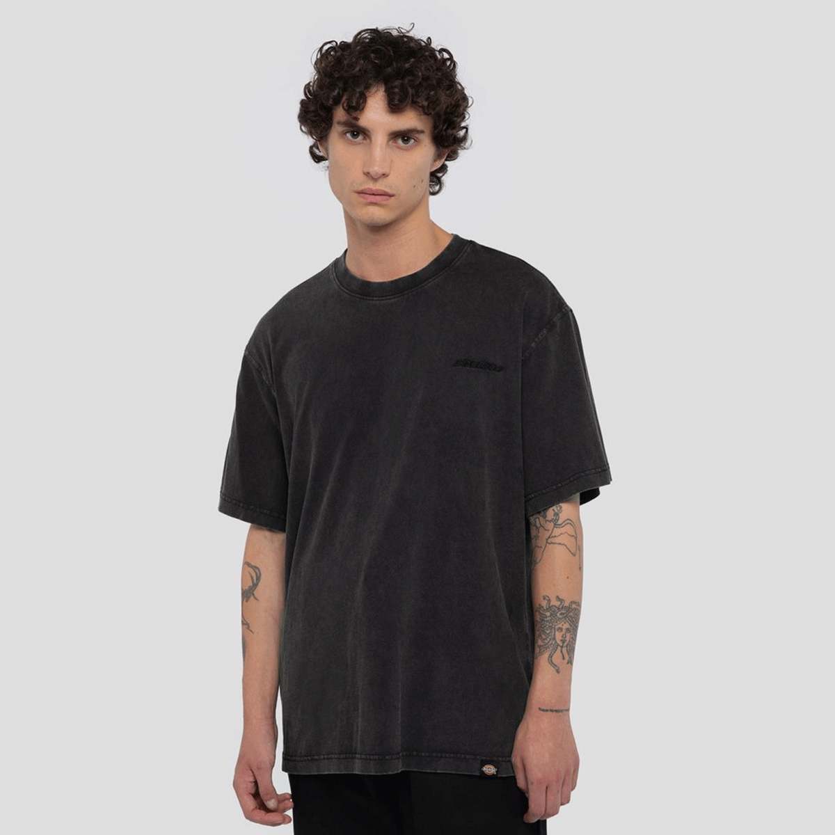 Selected, Dickies, Plentywood Tee Short Sleeve, grey