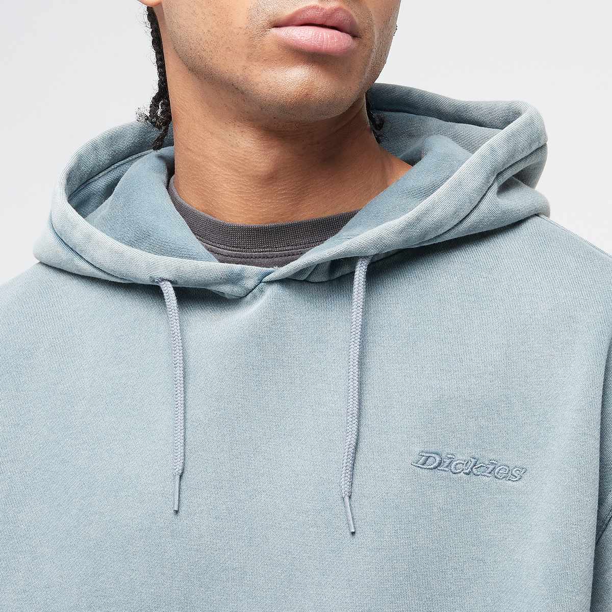 Dickies Plentywood Hoodie men Hoodies & Sweaters blauw Maat S Kleding