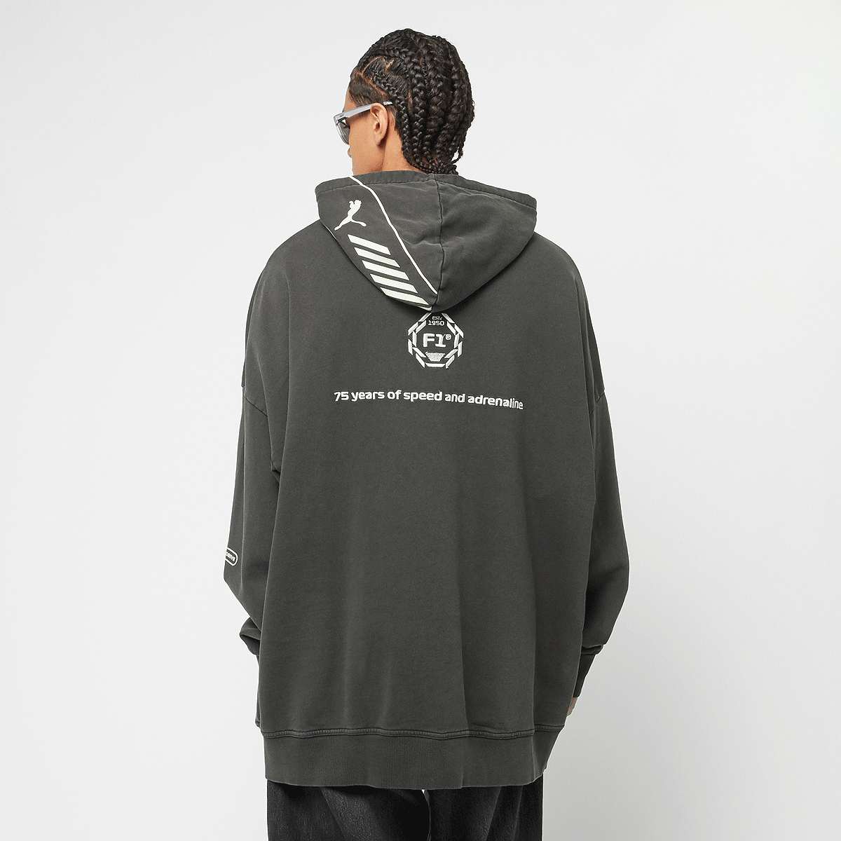 Puma F1 Hoodie men Hoodies & Sweaters grijs Maat L Kleding