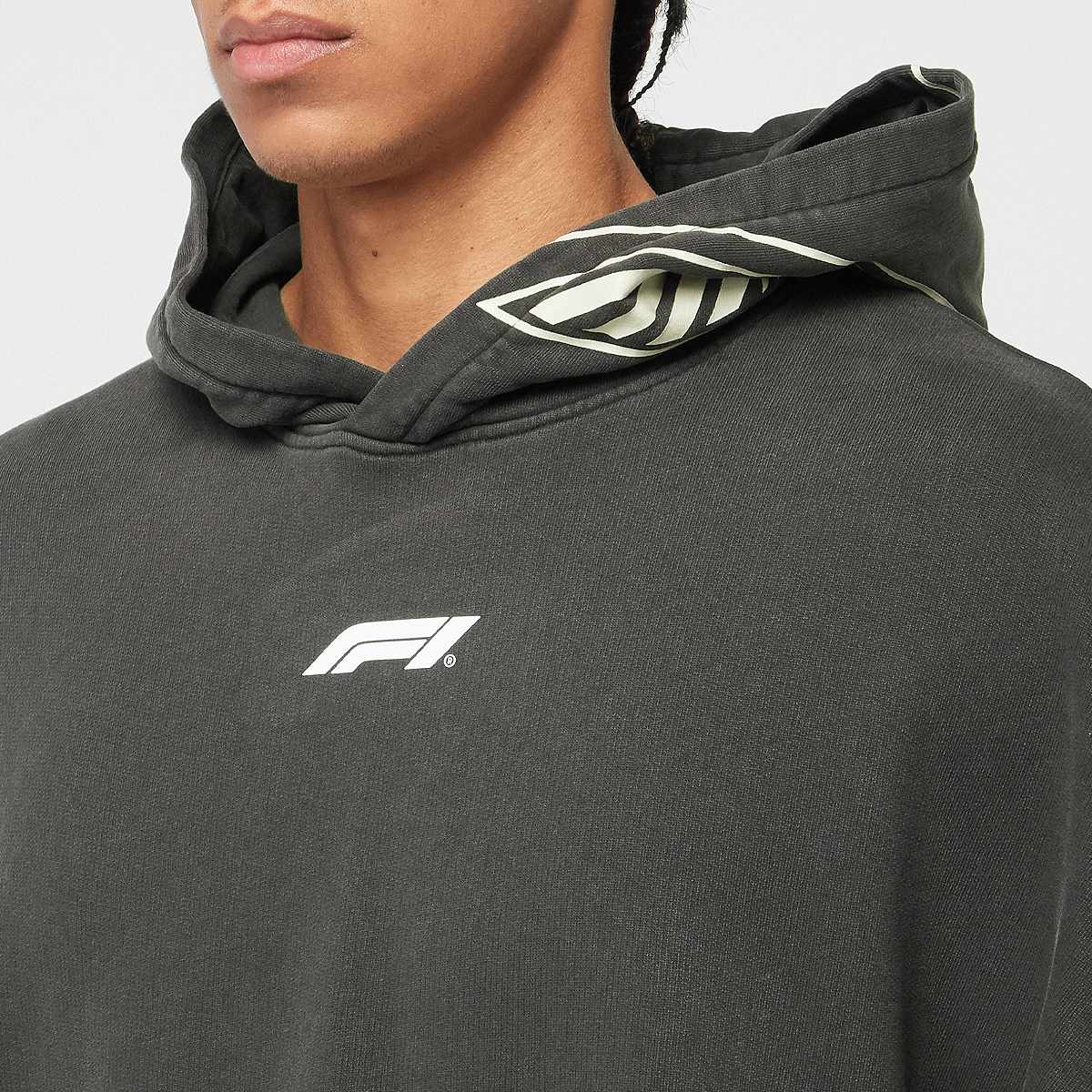 Puma F1 Hoodie Men Hoodies & Sweaters grijs Maat L Kleding