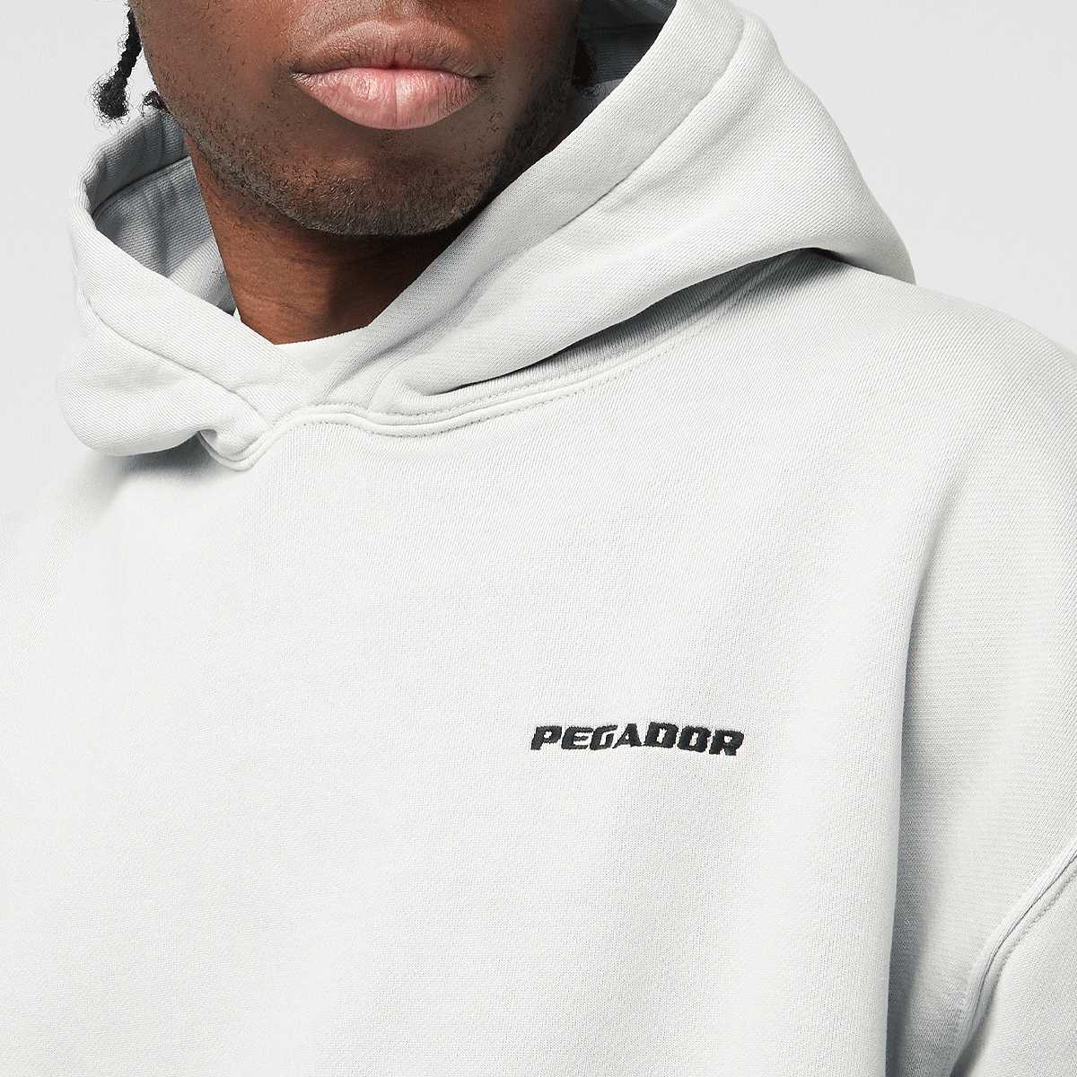 Pegador Logo Oversized Hoodie Men Hoodies & Sweaters grijs Maat S Kleding