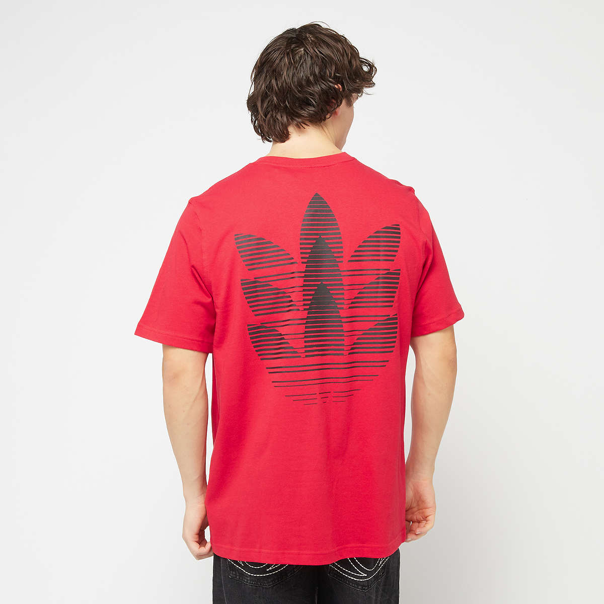 Adidas Originals Trefoil Backprint T-Shirt men T-Shirts & Polo's rood Maat XL Kleding
