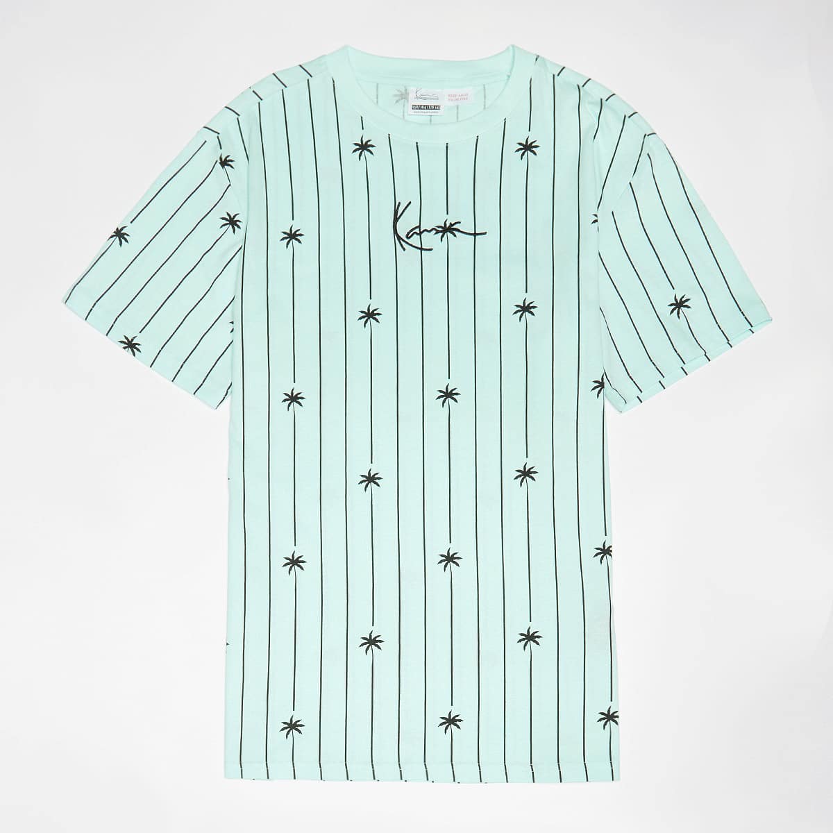 Karl Kani, Signature Palm Pinstripe T-Shirt Junior, turquoise