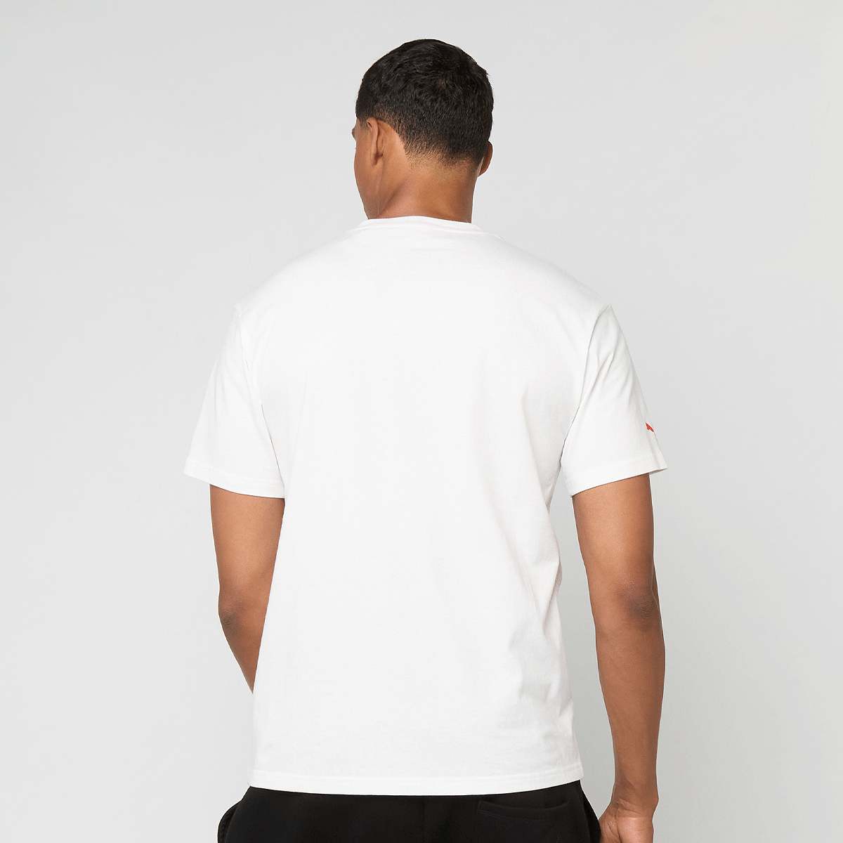 Puma F1 Essentials Graphic Tee Men T-Shirts & Polo's wit Maat S Kleding