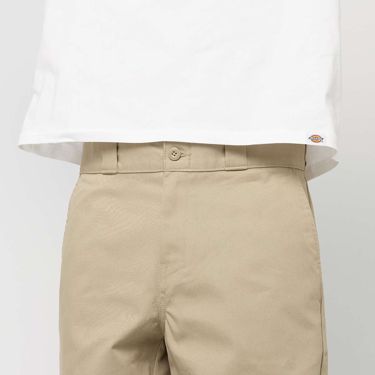 Dickies 248 Pants Men Chino's beige Kleding
