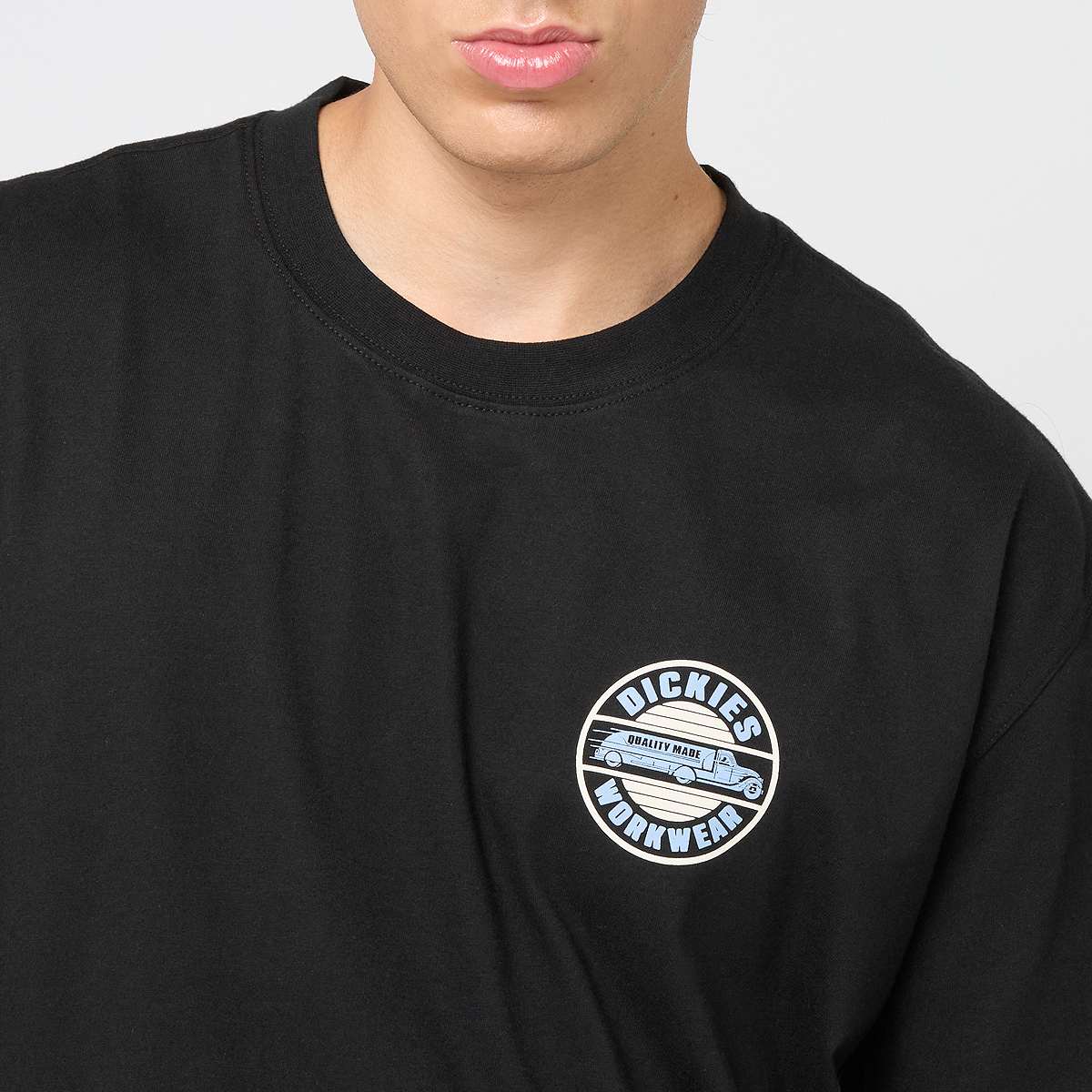 Dickies CIRCLE TEE SS black men T-Shirts & Polo's zwart Maat M Kleding