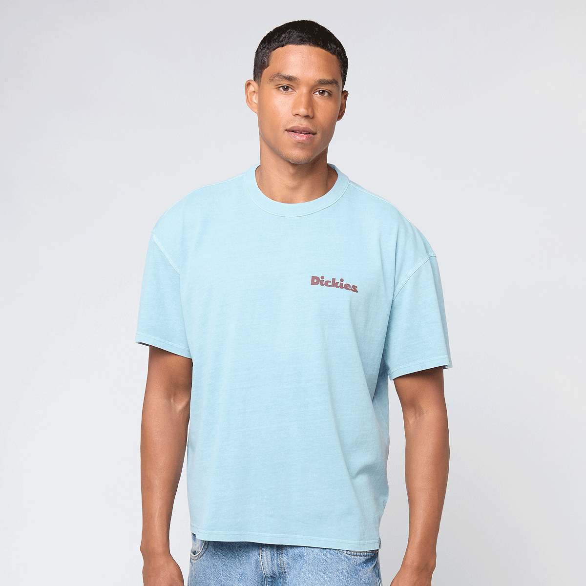 Dickies Slayden GD Shortsleeve Tee Men T-Shirts & Polo's blauw Maat S Kleding