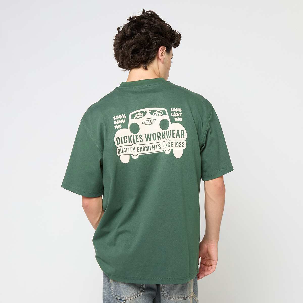 Unselected, Dickies, Gordonsville Short Sleeve Tee, green
