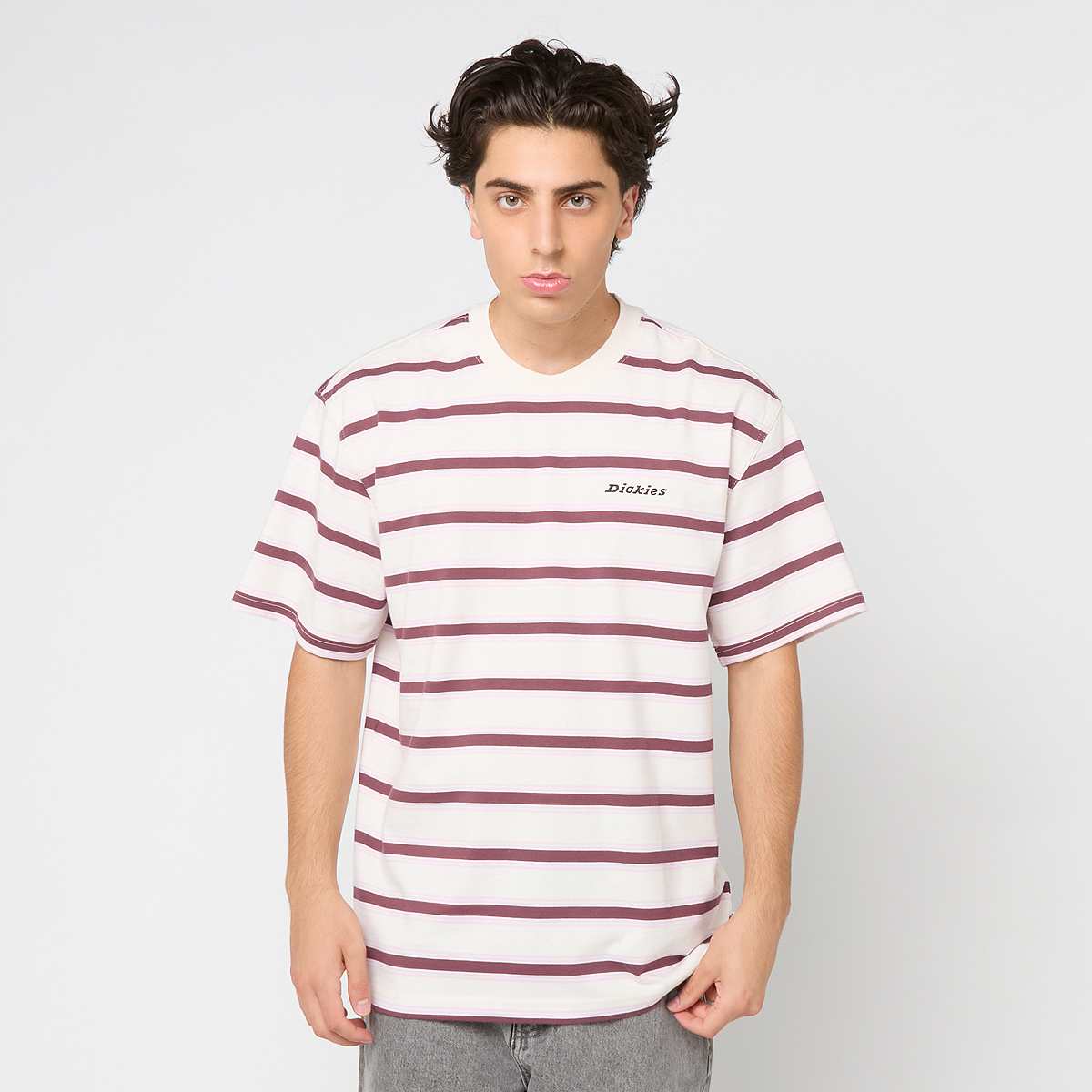 Dickies, York Stripe Short Sleeve Tee, beige