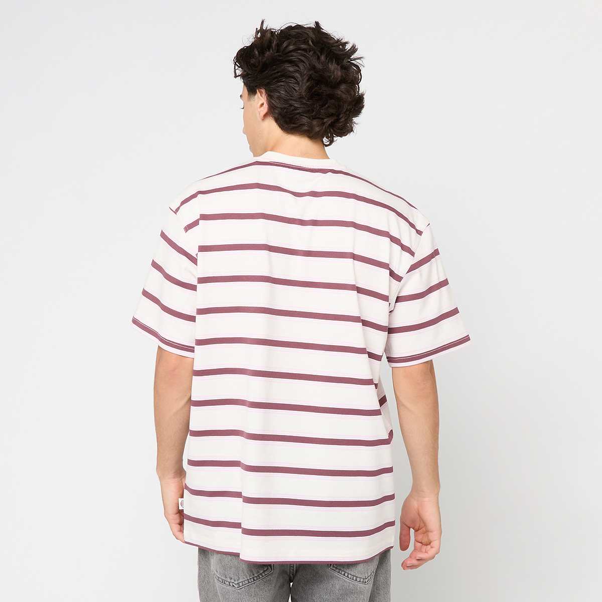 Dickies YORK STRIPE TEE SS egret men T-Shirts & Polo's beige Maat S Kleding