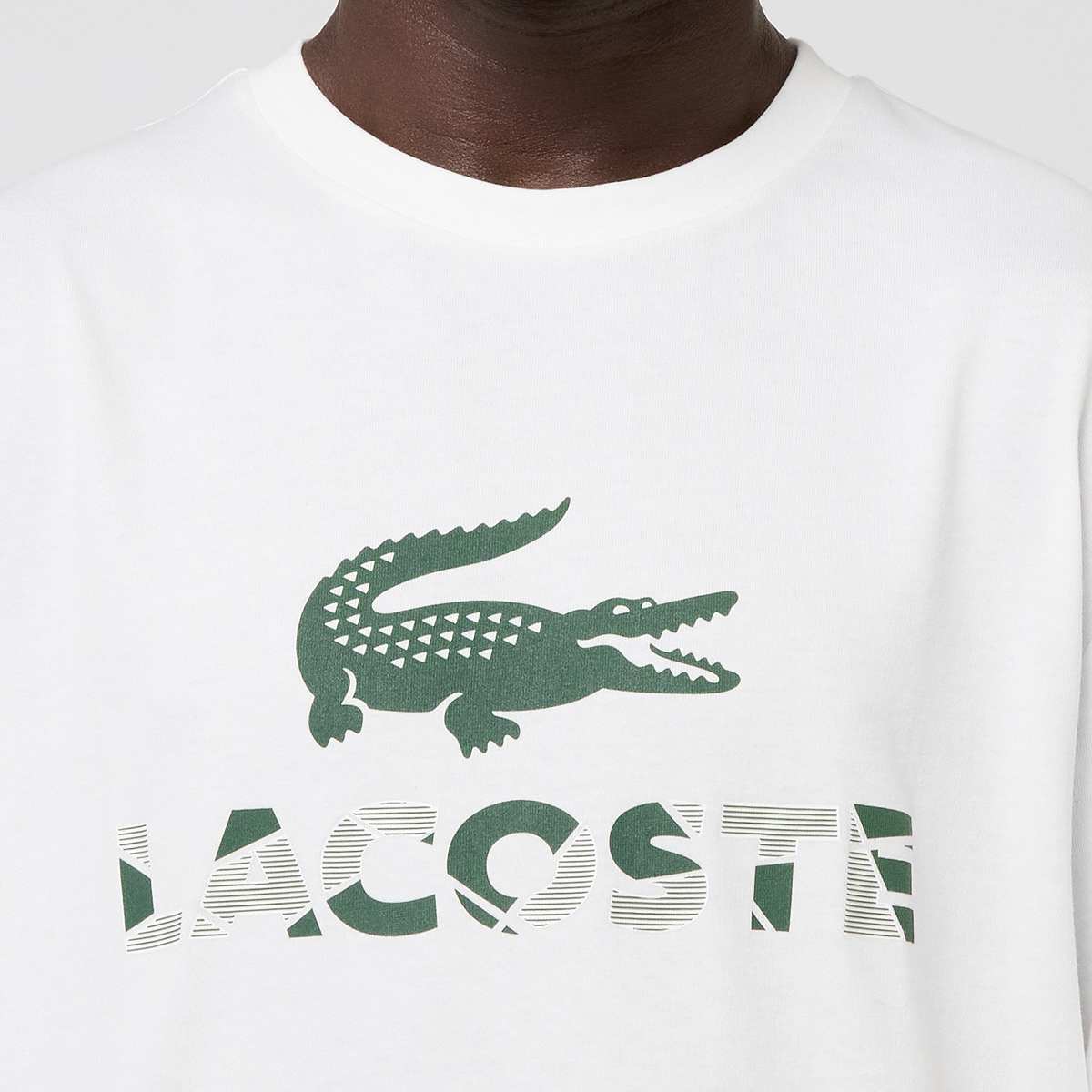 Lacoste T-Shirt Men T-Shirts & Polo's wit Maat S Kleding
