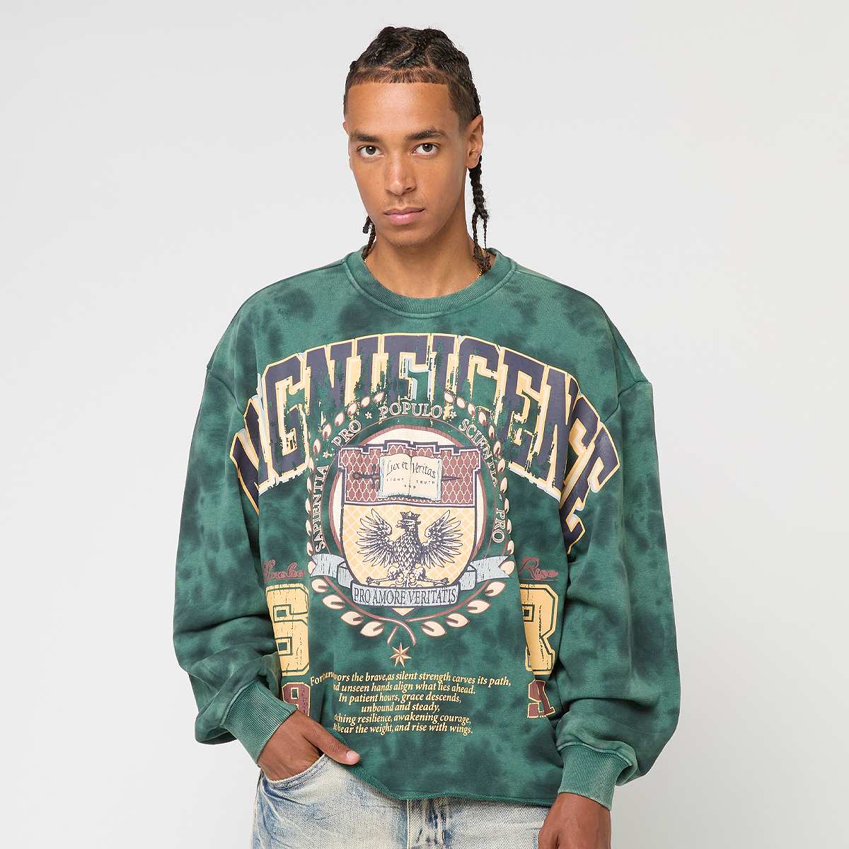 Smoke Rise, MAGNIFICENCE FLEECE CREWNECK JUNE BUG, green