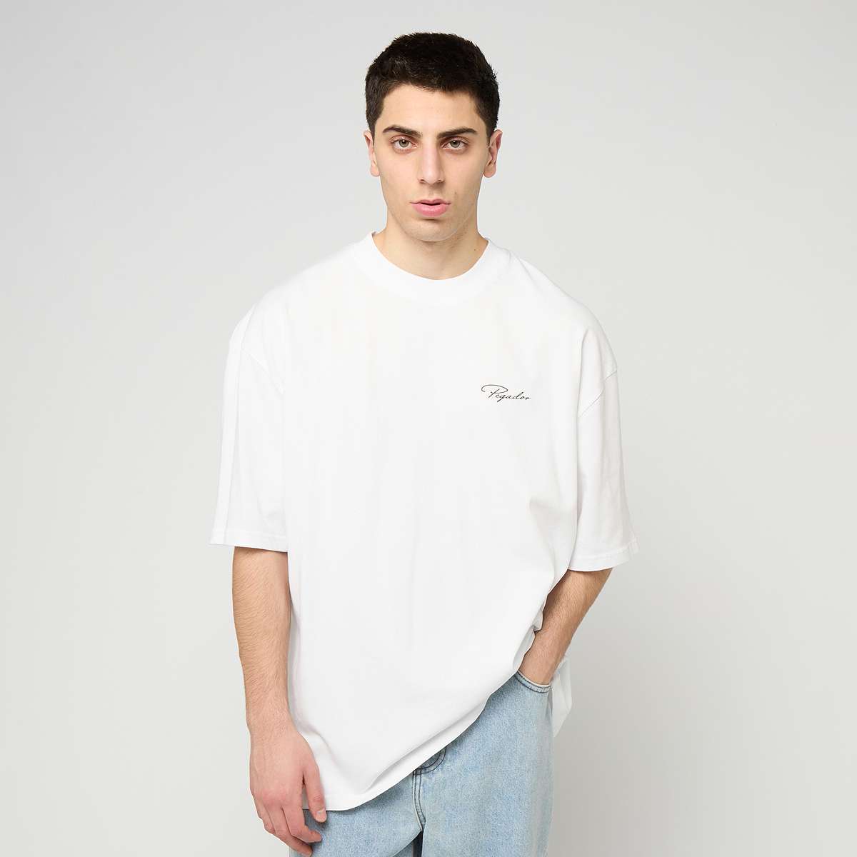 Pegador Pike Oversized Tee — photo 2