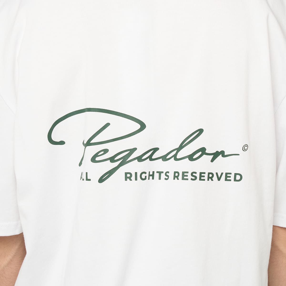Pegador Pike Oversized Tee — photo 4