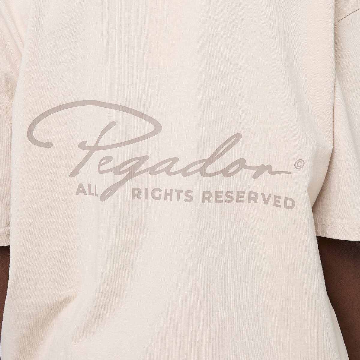 Pegador Pike Oversized Tee — photo 3