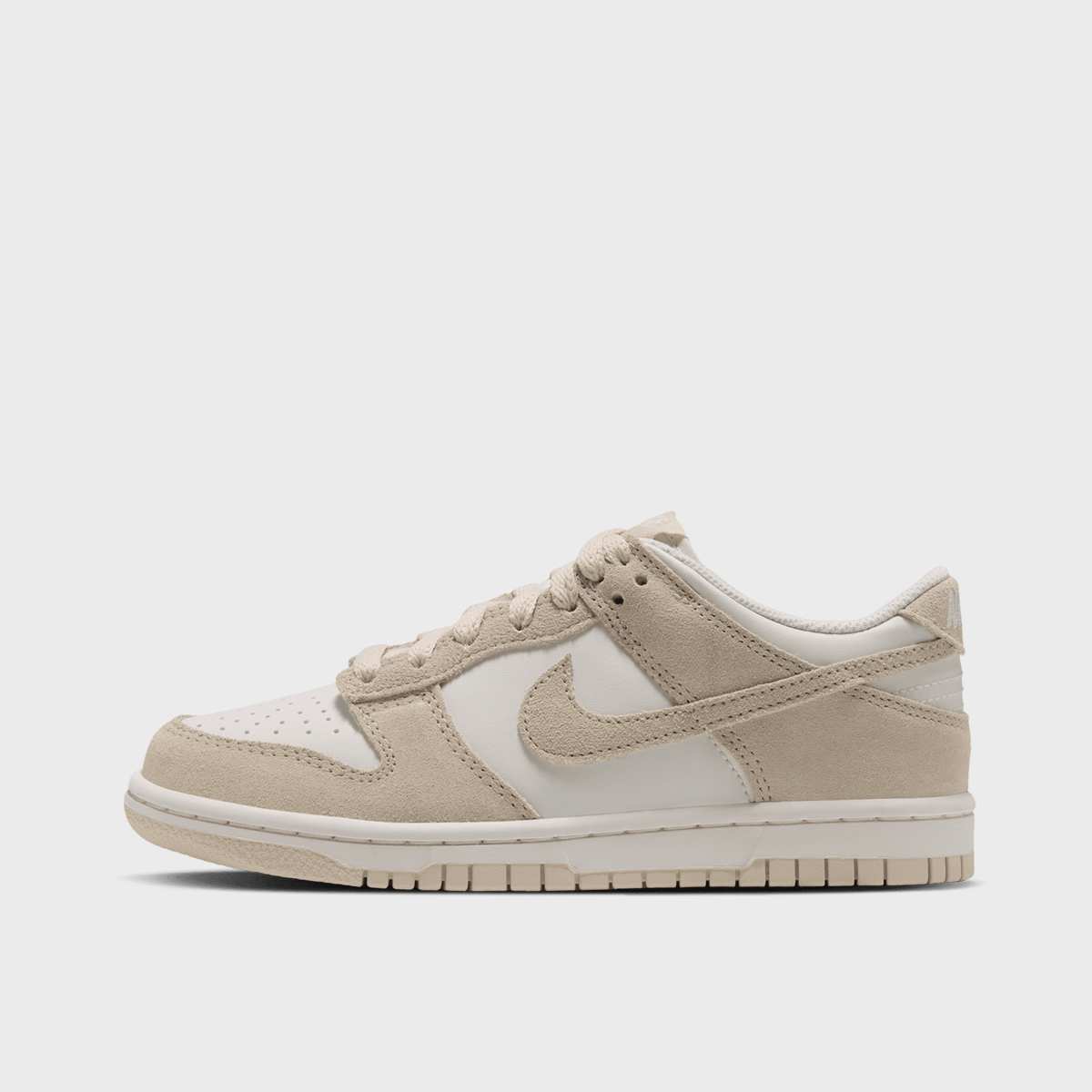 Dunk Low SDE (GS)