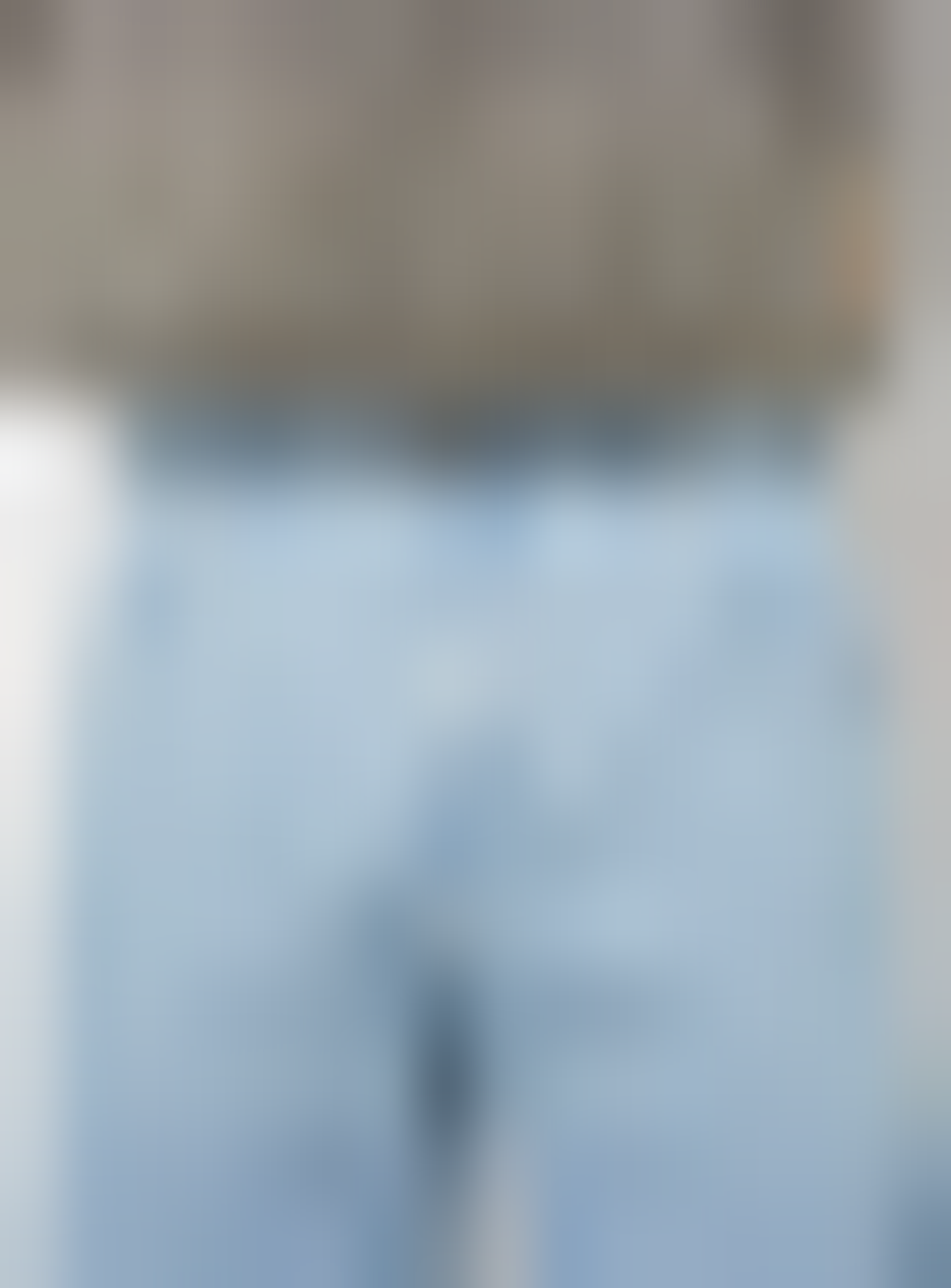 Dickies, Garyville Denim, blue, Image 3 of 5