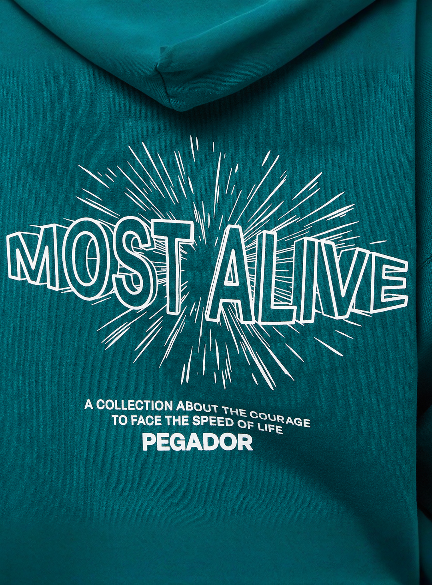 Pegador, Nisa Oversized Hoodie, green, Image 4 of 5