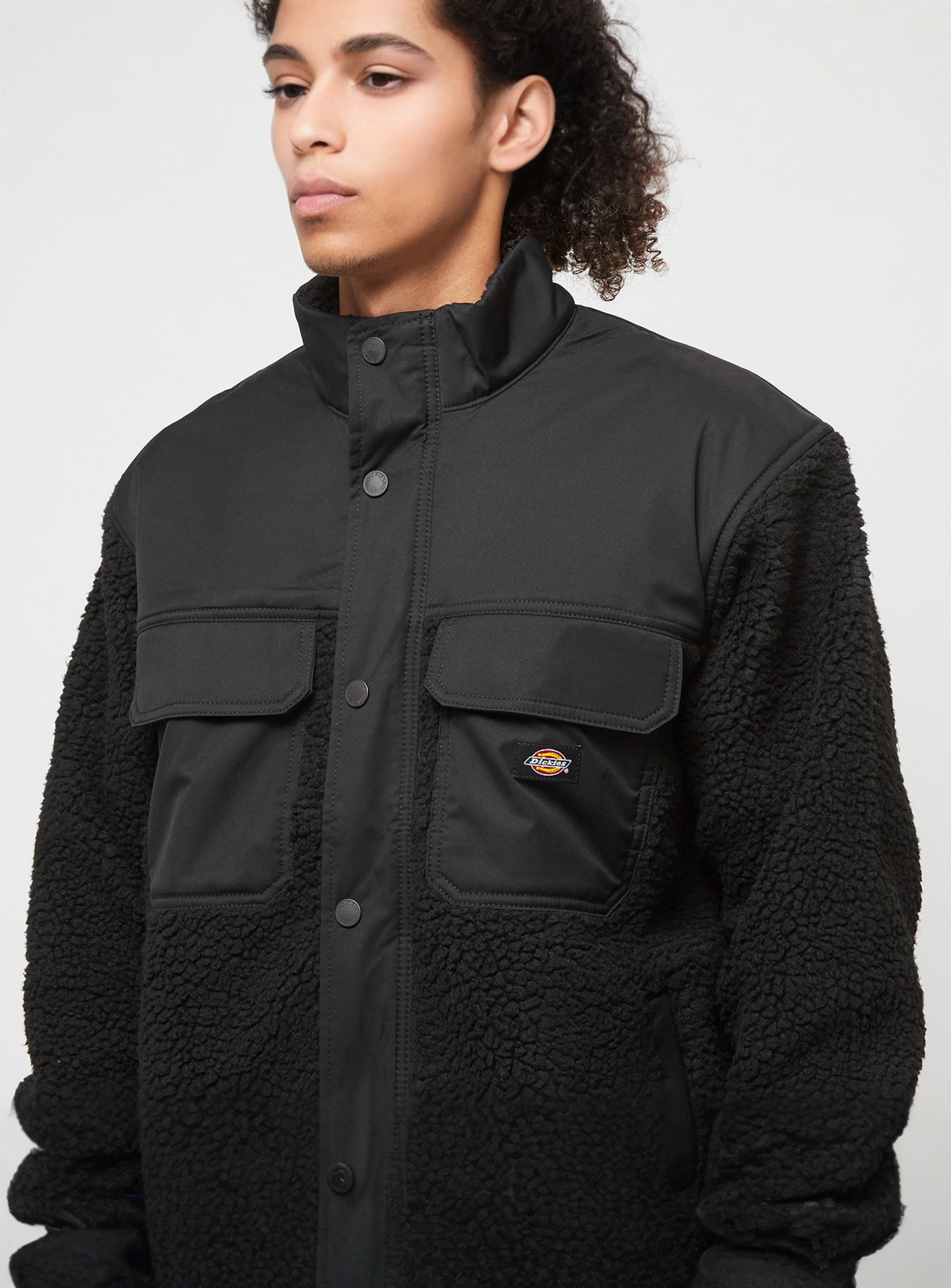Dickies, Pinesdale Jacket, black, Image 3 of 4