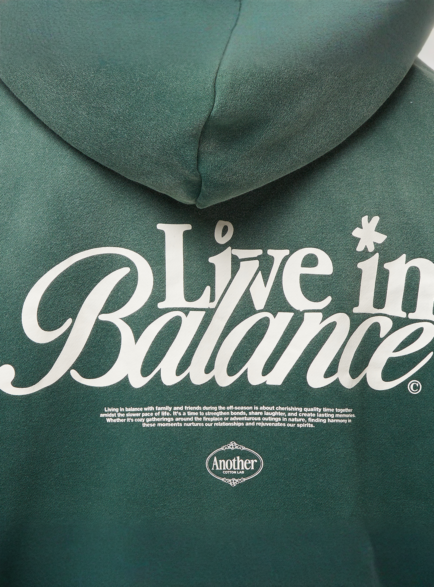 Another Cotton Lab, Live in Balance Oversized Zip Hoodie, green, Image 4 of 5