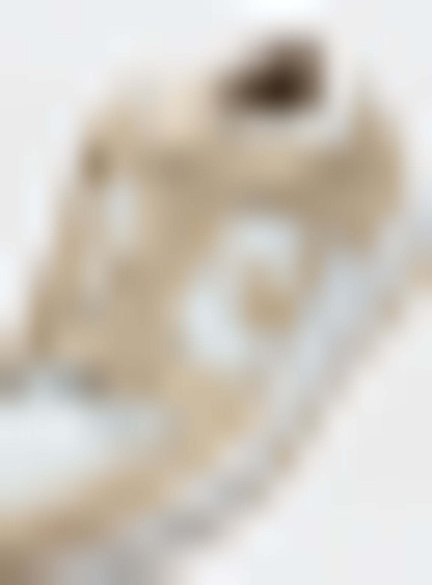 Nike, Dunk Low (GS), beige, Image 7 of 8