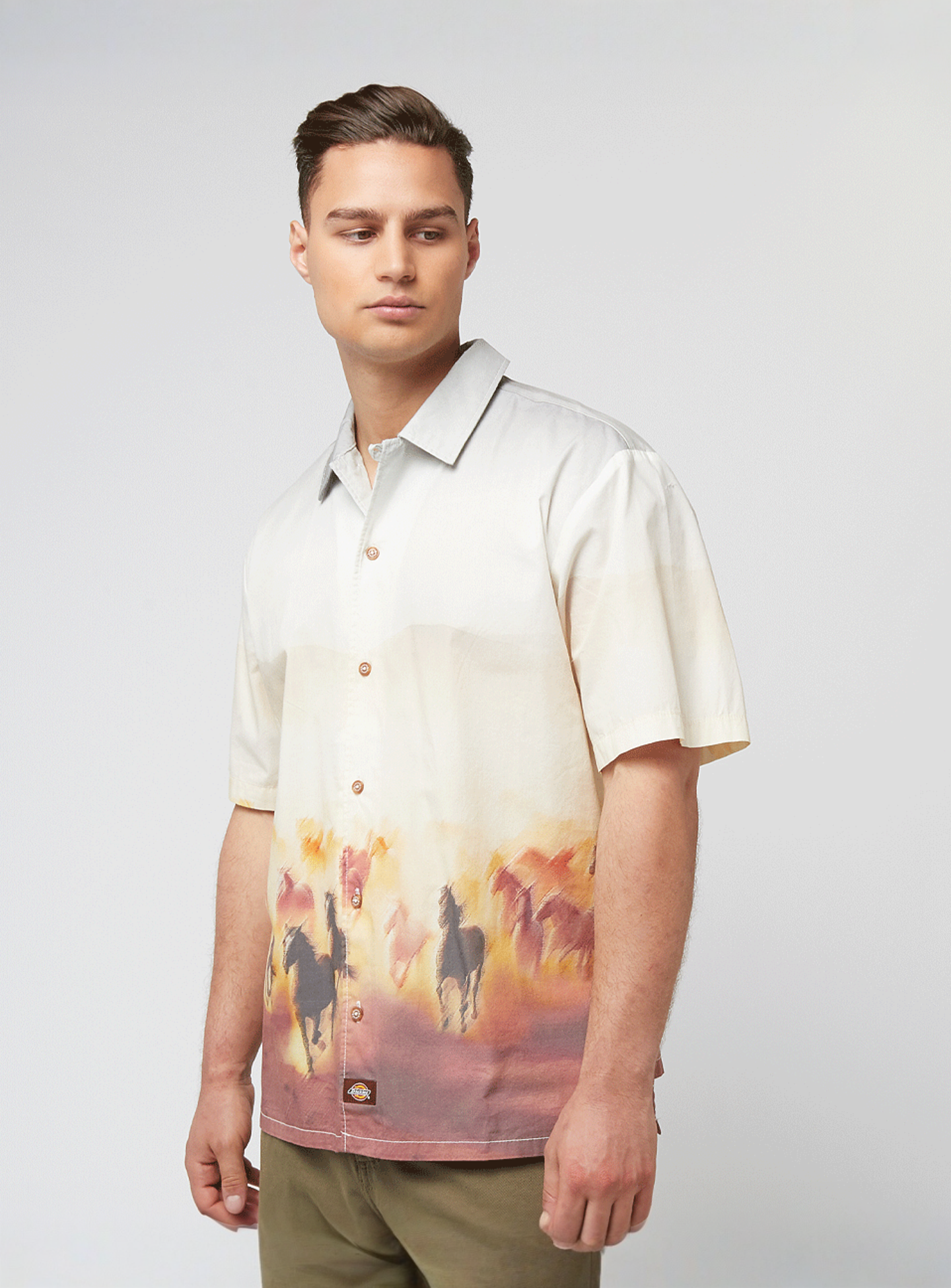 Dickies, Running Wild Shortsleeve Shirt, multi-colour, Image 1 of 4