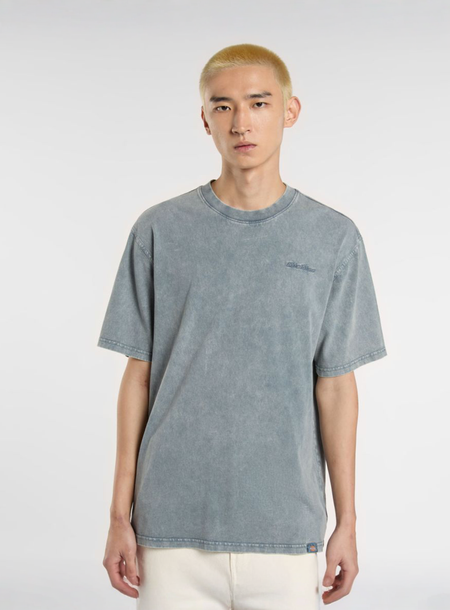 Dickies, Plentywood Tee, blue, Image 1 of 5