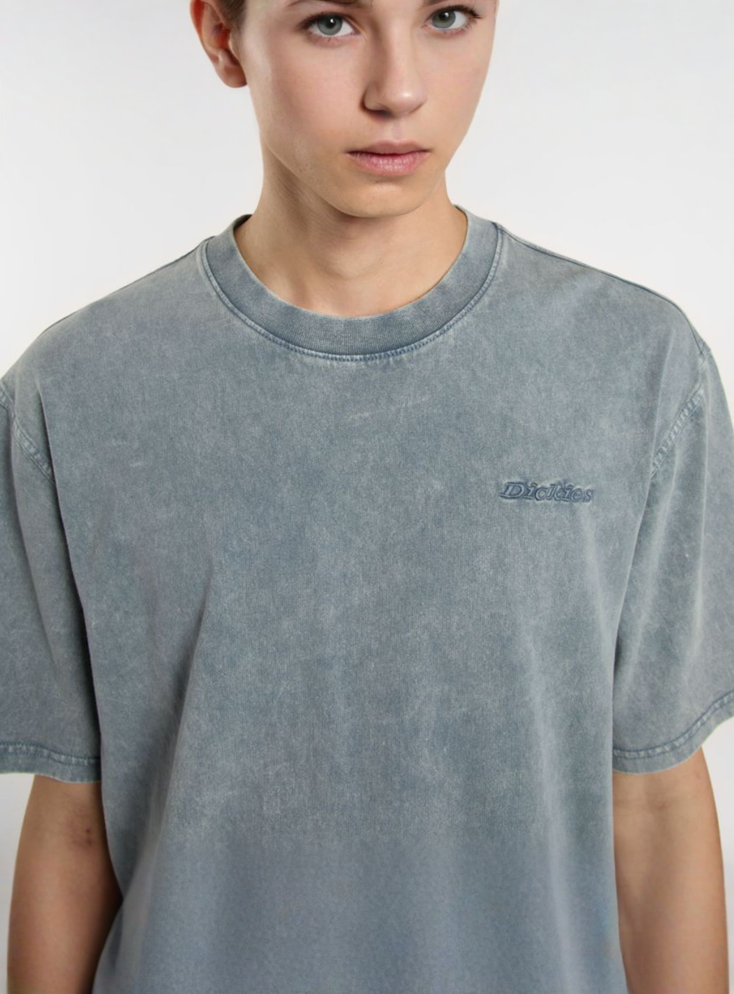 Dickies, Plentywood Tee, blue, Image 3 of 5