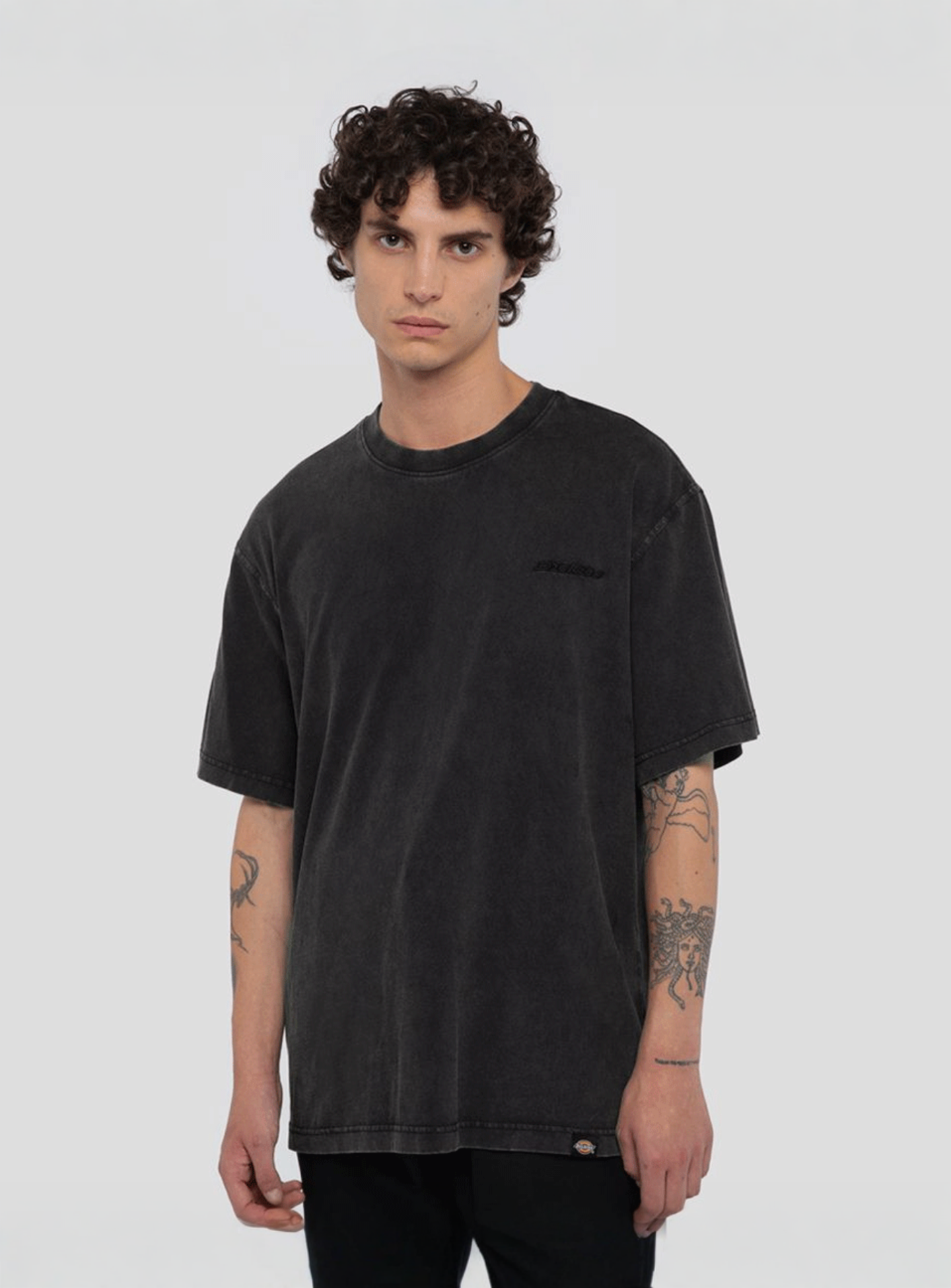 Dickies, Plentywood Tee Short Sleeve, grey, Image 1 of 5