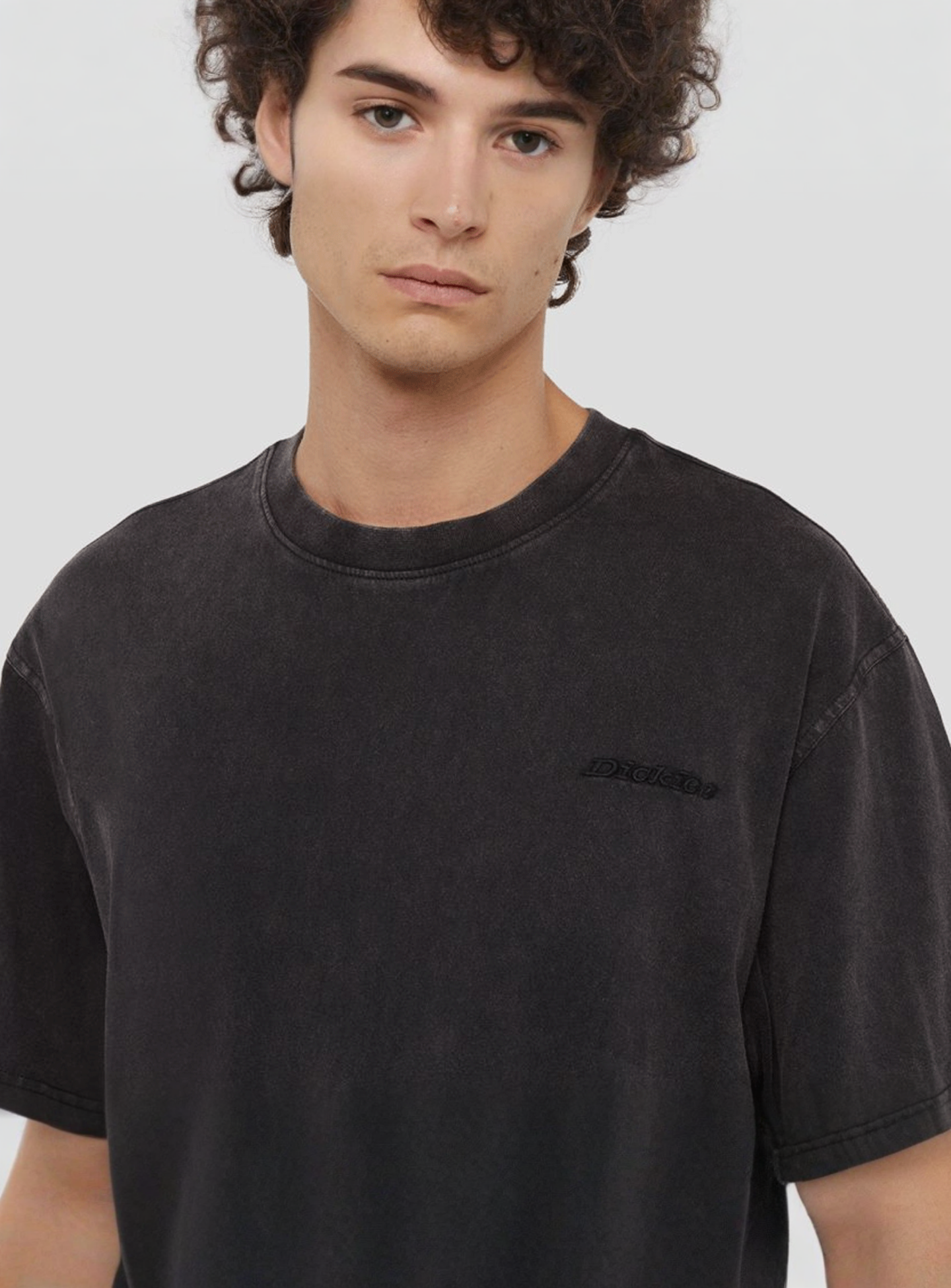 Dickies, Plentywood Tee Short Sleeve, grey, Image 3 of 5