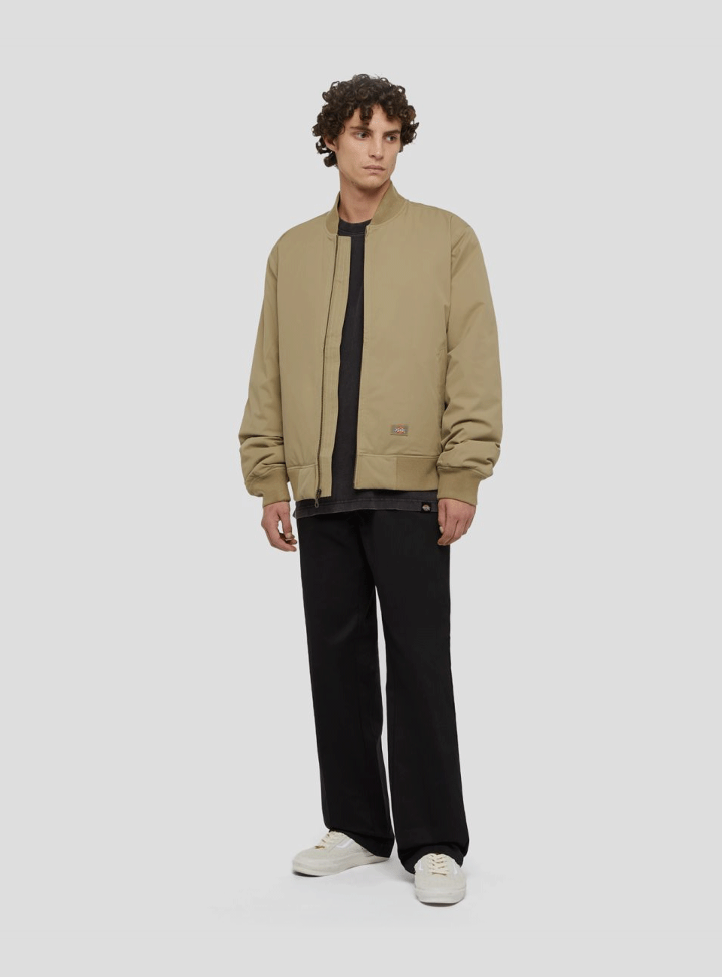 Dickies, Plentywood Tee Short Sleeve, grey, Image 5 of 5