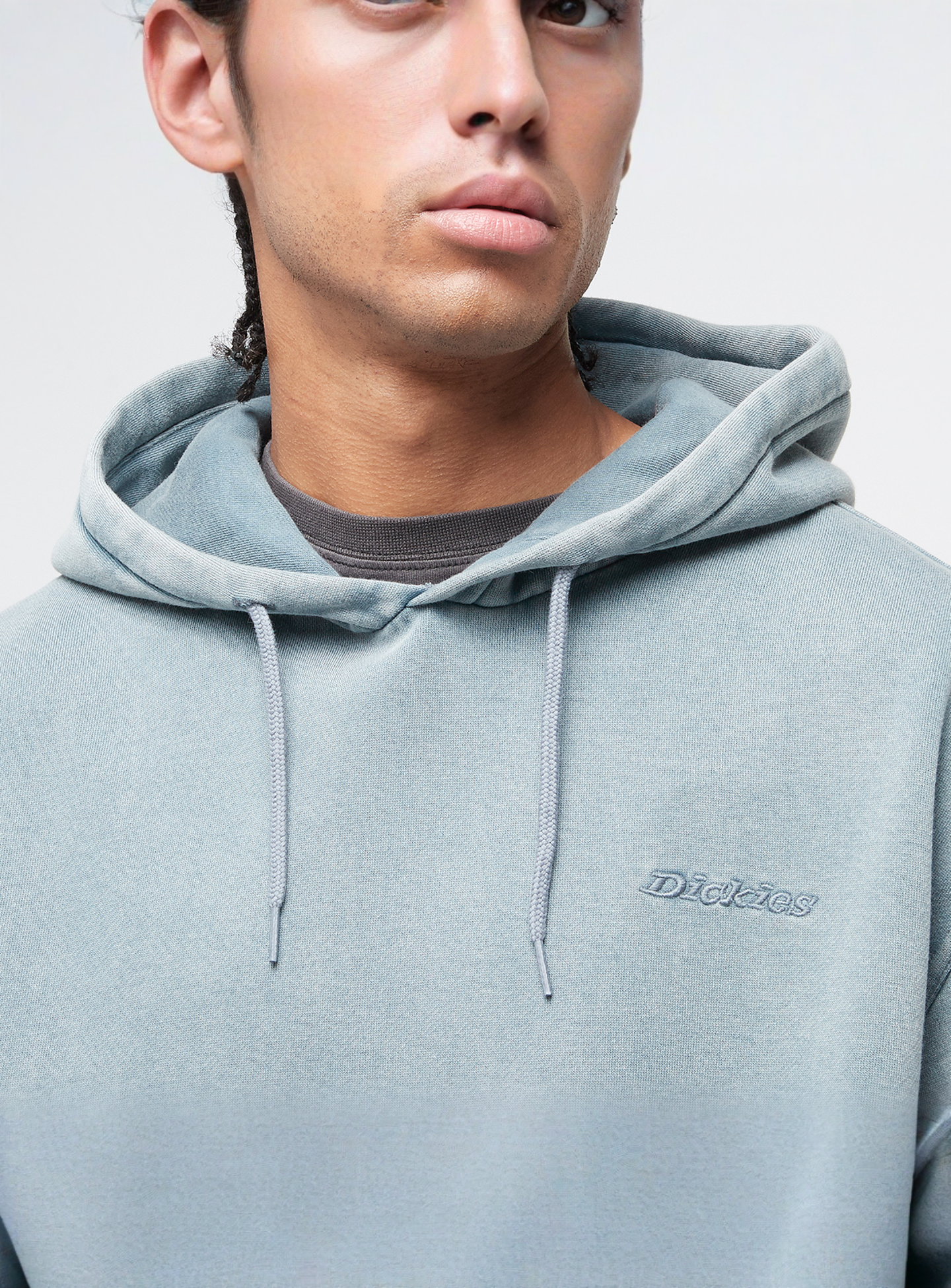 Dickies, Plentywood Hoodie, blue, Image 3 of 4