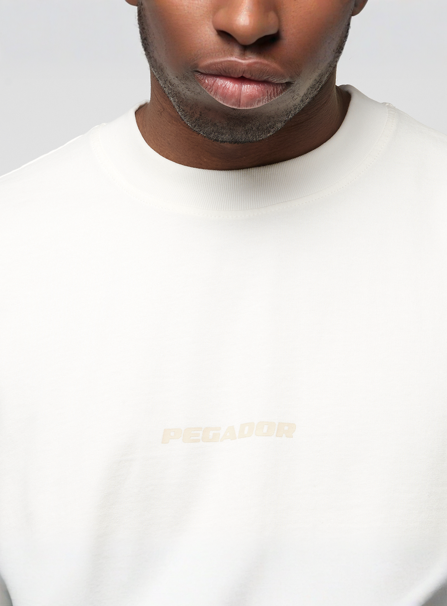 Pegador, Colne Logo Oversized Tee, beige, Image 3 of 5